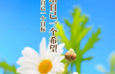 早安冷笑话句子