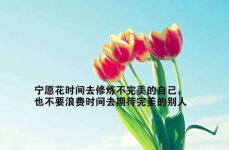 积极向上正能量的句子,共筑美好未来